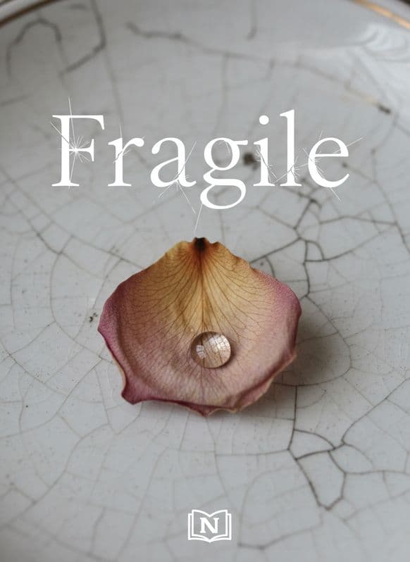 Fragile Novel